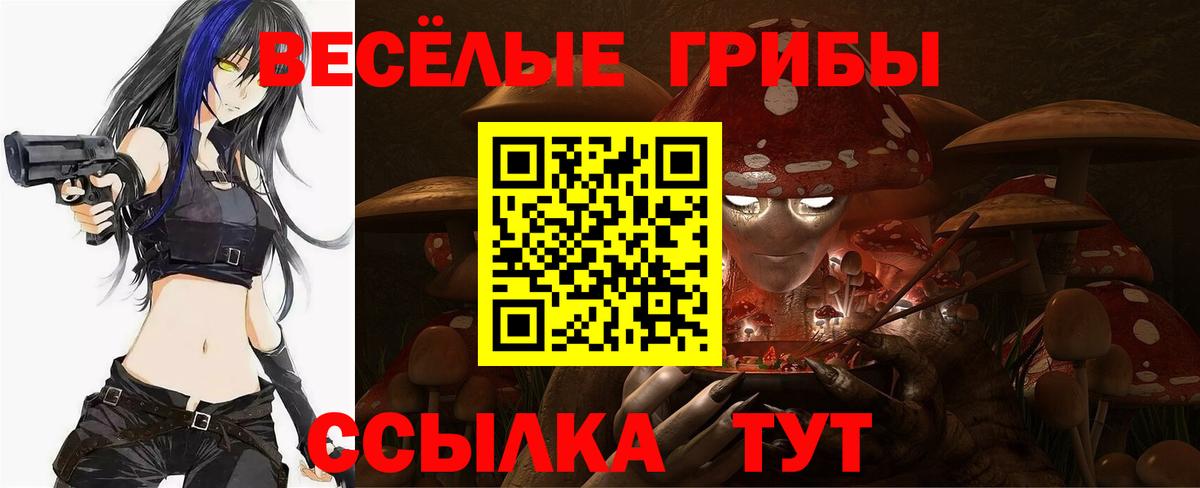 Ульяновск  Галлюциногенные грибы GOLDEN TEACHER  Вход с VPN  Псилоцибиновые грибы прущие грибы 